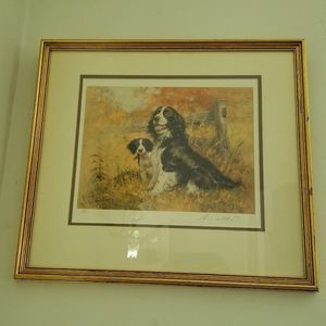 English Springer Spaniels Gold framed and matted print